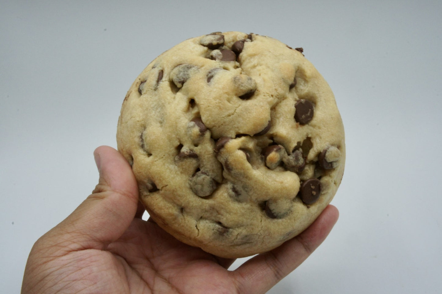 Classic Chocolate Chip (3 PACK)